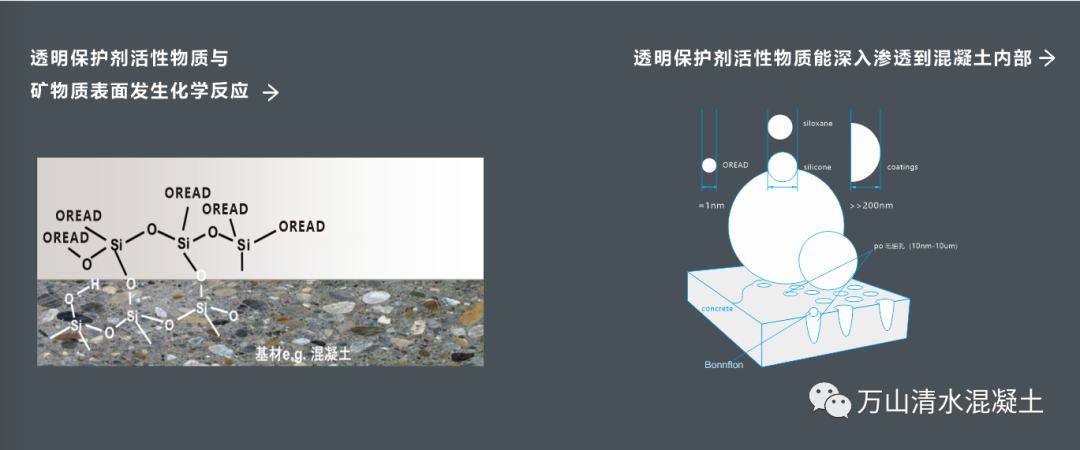 微信圖片_20221012164658
